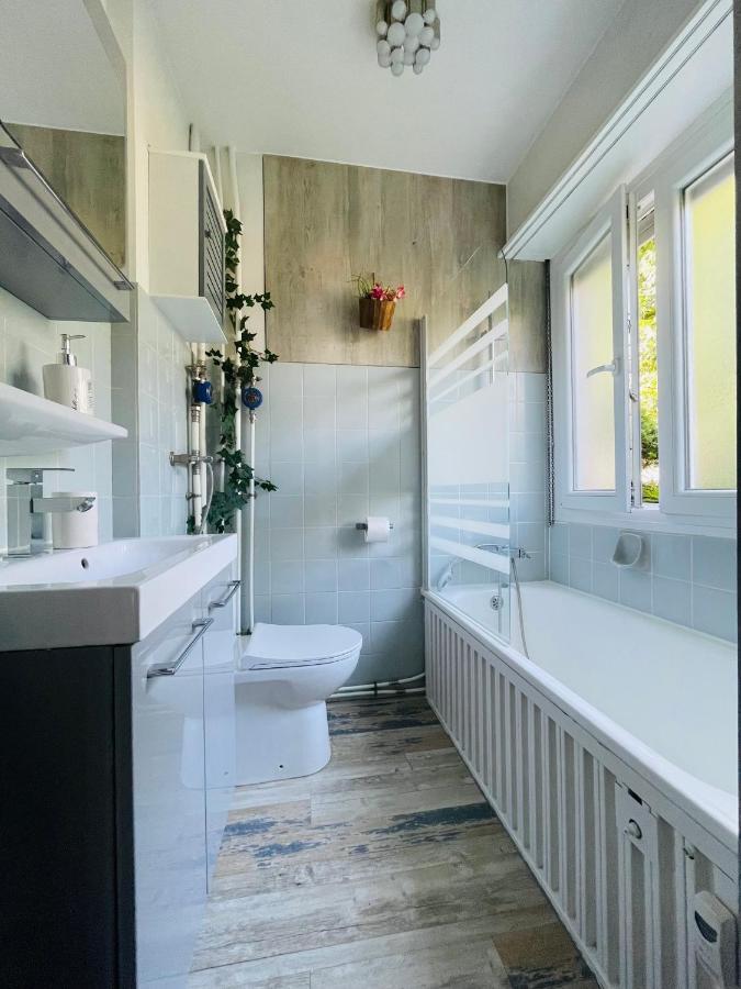 Dnn - Stylish Studio - Free Wifi, Netflix And Parking - Min Away To Basel And Airport - Dishwasher, Washing Machine 생루이 외부 사진