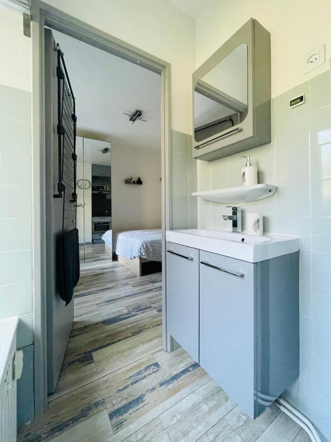Dnn - Stylish Studio - Free Wifi, Netflix And Parking - Min Away To Basel And Airport - Dishwasher, Washing Machine 생루이 외부 사진