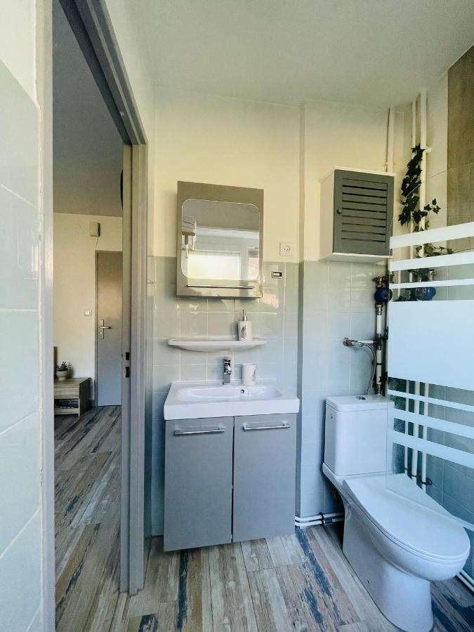 Dnn - Stylish Studio - Free Wifi, Netflix And Parking - Min Away To Basel And Airport - Dishwasher, Washing Machine 생루이 외부 사진